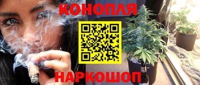 Альфа ПВП Гусев