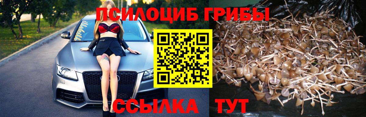Можга  Галлюциногенные грибы прущие грибы  Вход с VPN 