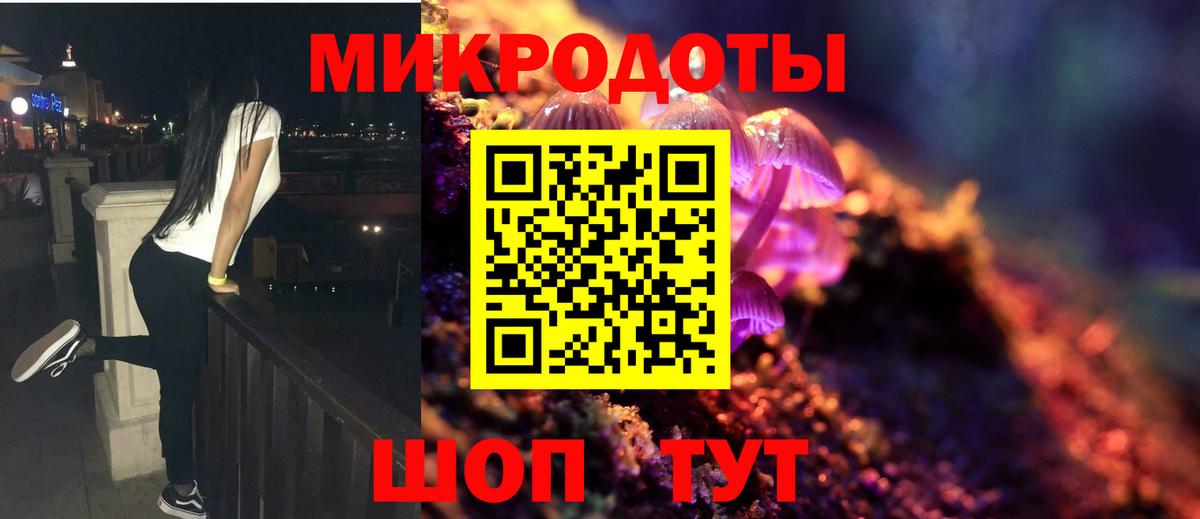 Псилоцибиновые грибы MAGIC MUSHROOMS Можга